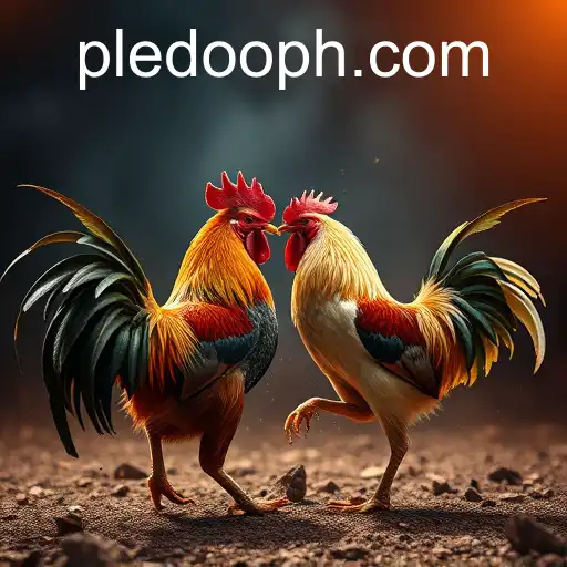 Exploring the Intricacies of Online Sabong and the Rise of Pledoo